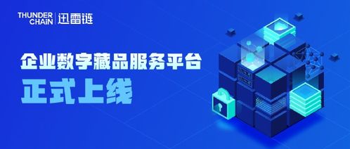 全體員工收到數(shù)字藏品 迅雷宣布推出企業(yè)數(shù)字藏品服務(wù)平臺(tái)