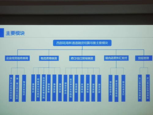 政銀企共建區(qū)塊鏈生態(tài)系統(tǒng) 陸海新通道金融服務(wù)平臺(tái)啟動(dòng)