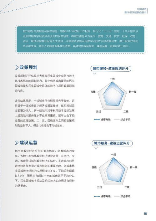 2018中國城市數(shù)字經(jīng)濟(jì)指數(shù)白皮書 