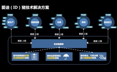 李玉福:區(qū)塊鏈在ID豬上的應用