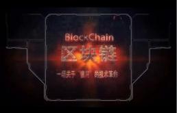 花瑞瑞 革新區(qū)塊鏈服務的綜合平臺